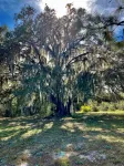 The Last Stand Farmhouse! Beautiful kitchen, TV room, AC, WiFi in Okeechobee