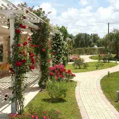 Villa Leralora - Olive Tree. Exclusive Pool Retreat Hotel Exterior