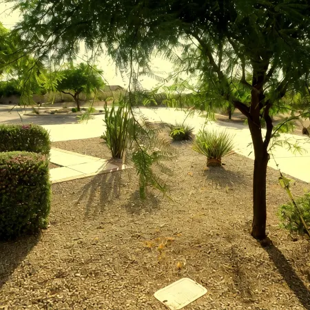 Quiet Relaxing Desert Oasis ...close to what ever action you may be looking for.