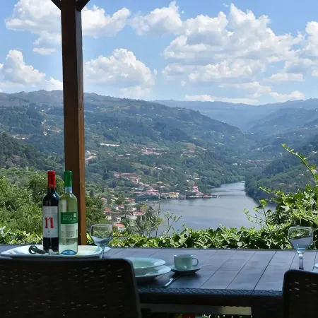 Quinta do Loureiro Douro Baião Private Pool Stunning Views Full Privacy .