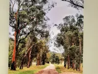 Country Cottage in Imbil (Mary Valley) Hotels in Imbil