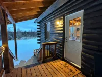 Cozy 1-bedroom cabin with AC, WiFi & garage in charming Ironwood