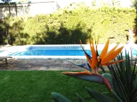 Comfortable apartment and swimming pool in the shade of the pine forest of Chipiona - Pool
