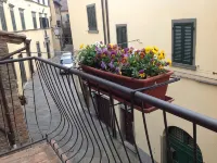 Cortona Shabby Chic House<br>(Independent & balcony)