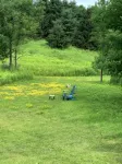 CREEKSIDE RETREAT 5 miles from Cooperstown, NY.