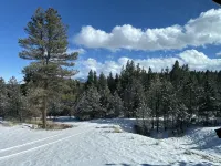 Mountain Retreat close to town. - Wifi