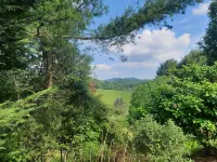 Mountain Retreat in Blue Ridge Mountains. Privacy!  Owner Managed. Hotele w: Pine Swamp