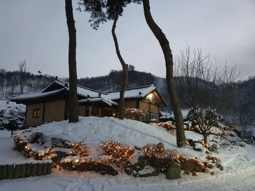 안성 산삼꽃피는마을 펜션 - 2성급