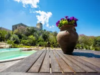 Historic Residence Villa Fontana Private Pool & Botanic Garden Hotels in Valderice