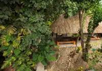 Hotel Pancho Villas - Spa