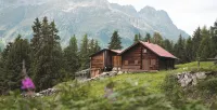 MYALPS Historical