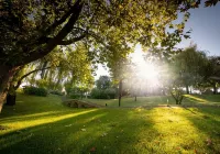 Quinta Dona Adelaide -  Holiday Villas