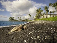 Fairmont Orchid - Beach