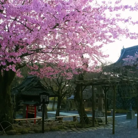 Sora Togetsusoukinryu