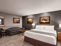 Travelodge by Wyndham Brandon Hotels in Brandon