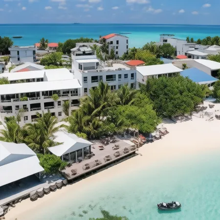 Rashu Hiyaa