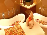 The Hotel Hindusthan International - Spa