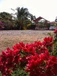 Pedasi Sports Club