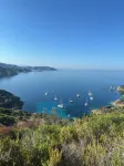 Villa with pool, between olive trees and sea - fantastic view!