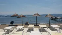 Hotel Villa Luisa - bar