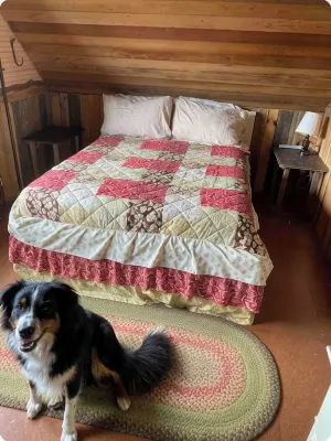 Genuine Farm Experience! Barn Loft on Organic Farm—rooster and Chickens below! - Alppimaja