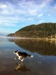 Sunny Cabin in Manzanita on the Oregon Coast, 5 min. walk by trail to the beach - 샬레 호텔