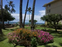 OCEANFRONT - TWO OCEANVIEW  bedrooms - 20 feet from water - Kanai a Nalu 401 - 4 tähden