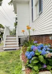Cozy Salem Getaway. Historic Home Near All the Sights - บังกะโล