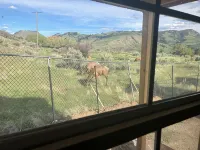 Elk View Cabin - Chalets