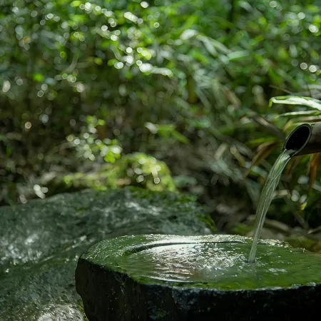 Ryokan Shinseikan