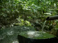 Ryokan Shinseikan - Hot Springs