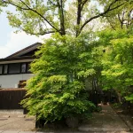 Enishi - 2-Star