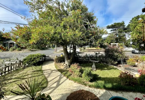 Beachy Chic Seaside Retreat-gas fireplace & firepit, steps to beach, prom & town - 4星級