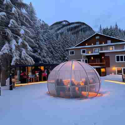 Chalet Queen Hotel Exterior