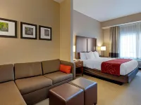 Comfort Suites Anchorage International Airport Hotels in Anchorage