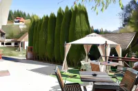 Pensiunea Nicolas Các khách sạn ở 