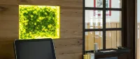 Hotel Schneider Hotels in Laubach
