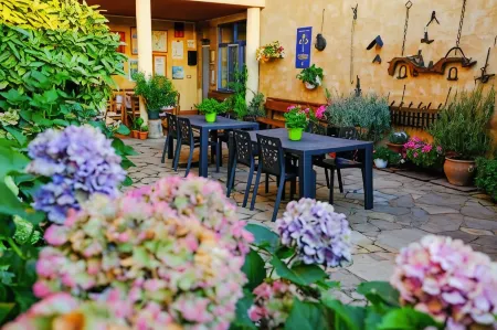 Dormero Albergue San Miguel Hospital de Órbigo Отели в г. Асторга