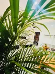 Apartment with Blacony and Sea View - Pensions