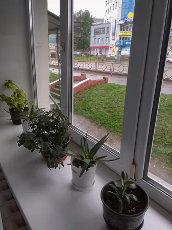 Dom Rodnoy Hotel Отели рядом с достопримечательностью «Танк Т-34»