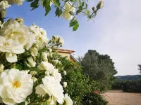 La Casa dei Tigli Hotels in Cannara