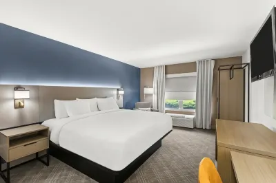 Comfort Inn & Suites Rome South Hotels near ALDI