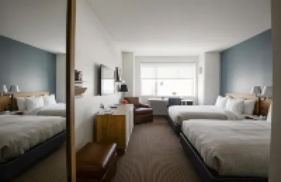 เดอะสตัดดี้ แอท ยูนิเวอร์ซิตี้ซิตี้