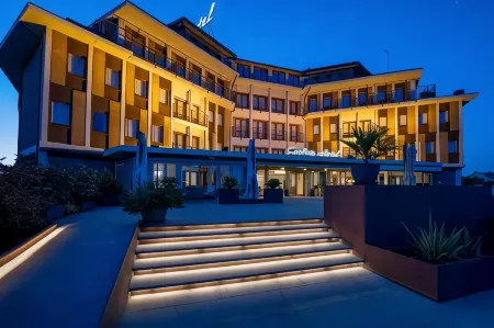 Hotel Carlton Отели в г. Силея