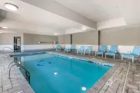 Best Western Plus Savannah Airport Inn  Suites