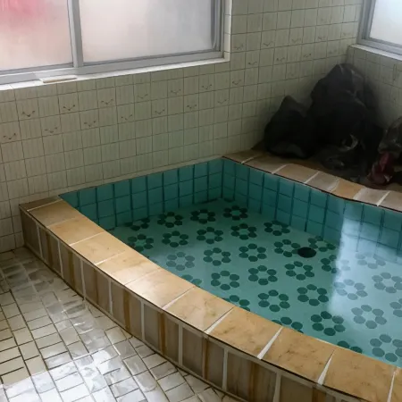 Onsen Minshuku Sakaeya