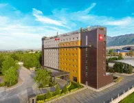 Ibis Bursa