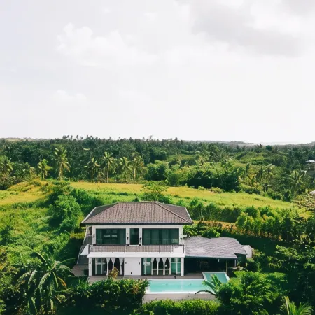 Mango Tree Siargao