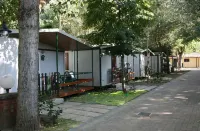 Badiaccia Camping Village Hotel a Castiglione del Lago