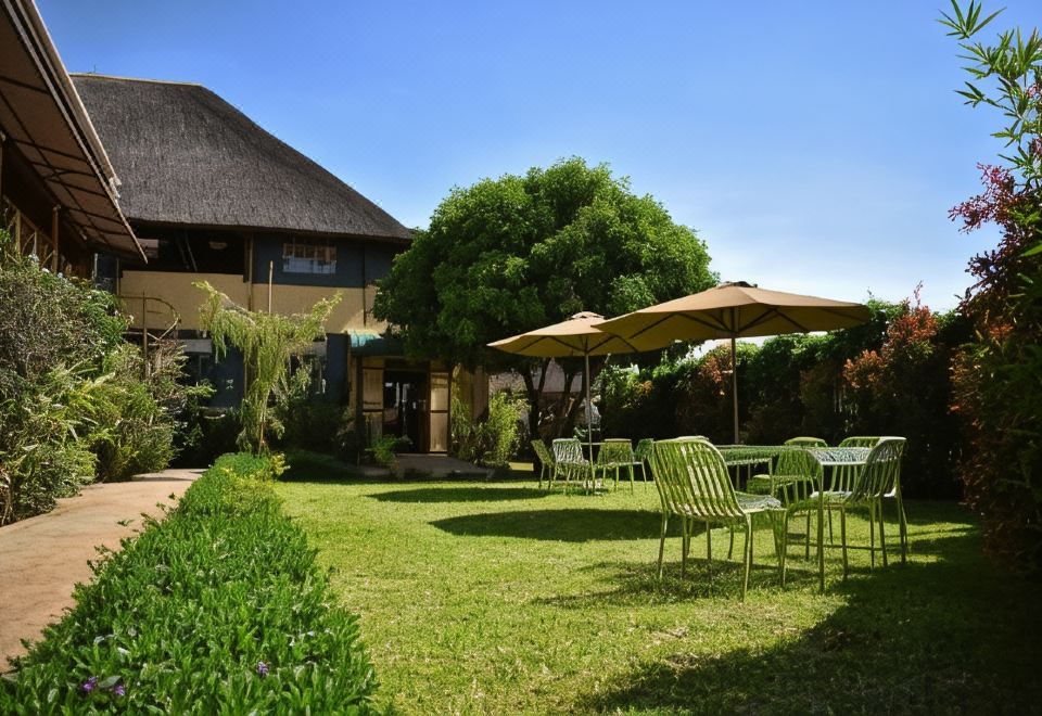 3. 아프리칸 루츠 ..